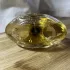 Jeanne Arthes Guipure & Silk Ylang Vanille