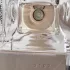 Bottega Veneta Illusione Tonka Solaire pic-102441