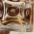 Bottega Veneta Illusione for Her