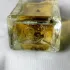 Dzintars Vecrīga (Старая Рига) pic-81852