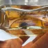 Histoires de Parfums 1889 Moulin Rouge pic-138824