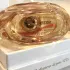Houbigant Collection Privee Essence Rare pic-68010