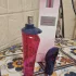 Pierre Cardin Rose by Cardin pic-190170