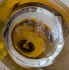 Mancera Choco Violet pic-124098
