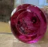 Mancera Roses Greedy pic-225742