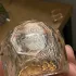 Tiffany Tiffany & Co Rose Gold pic-214365