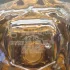Tiffany Tiffany & Co Rose Gold pic-94042