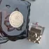 Gulf Orchid Ruby Fizz pic-153362