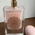 Gulf Orchid Cotton Candy pic-214223