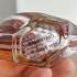 Swiss Arabian Inara Oud pic-199494
