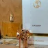 Swiss Arabian Hayaam pic-201720
