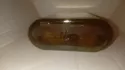 Львов Шипр