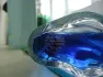 Nautica Blue pic-147789