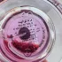 Monotheme Fine Fragrances Venezia Pomegranate pic-110603