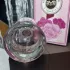 Monotheme Fine Fragrances Venezia Apotheose de Rose pic-5486
