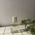 Zara Woman Applejuice pic-35548