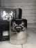 Parfums de Marly Pegasus pic-183842