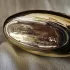 Parfums de Marly Darcy