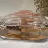 Sterling Parfums Just Jack Santal Bloom pic-116499
