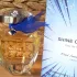 Kristel Saint Martin Shine Cristal