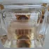 Fragrance Du Bois Petales de Cashmere pic-12857