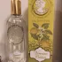 Jeanne en Provence Verveine Cedrat pic-157665