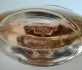 Coach Coach Eau de Parfum 2016 pic-237586