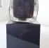 Olympic Orchids Artisan Perfumes DEV #2: The Main Act pic-392452
