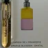 Dries Van Noten Jardin de L`Orangerie