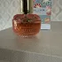 Elie Saab Girl of Now Forever pic-116234