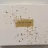 Elie Saab Le Parfum Lumiere