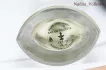 Dame Perfumery Soliflore Narcissus pic-164057