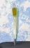 Pupa Bleu Ciel pic-159357