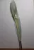 Pupa Violet Glycine pic-205770