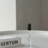 Genyum Painter