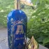 Attar Collection Azora
