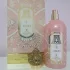 Attar Collection Areej