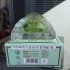 Al Rehab Choco Musk Pistachio pic-156633