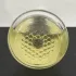 Nomenclature Shi-so pic-356249