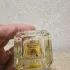 Fueguia 1833 Xocoatl