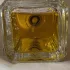 Fueguia 1833 Amalia