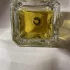 Fueguia 1833 Beagle