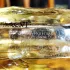 Hayari Parfums Broderie pic-242044