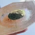 Al Wataniah Shouq pic-112974
